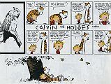 11 Calvin And Hobbes - Life Is A Miracle 